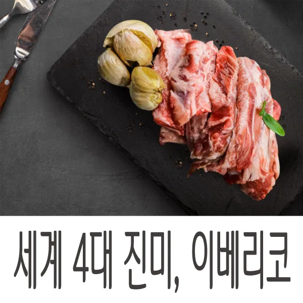  이베리코 방목 돼지고기 세계 4대 진미 프리미엄 이베리코 목살 갈비살 항정살 삼겹살 바베큐 돼지고기 구이용 소포장 캠핑고기 이베리코 프리미엄 4종 모듬 이베리코 갈비살 300g X 2