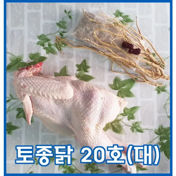  성도축산 토종닭20호 대 토종닭백숙용 토종닭백숙 백숙용닭 토종닭 성도축산 시장닭집