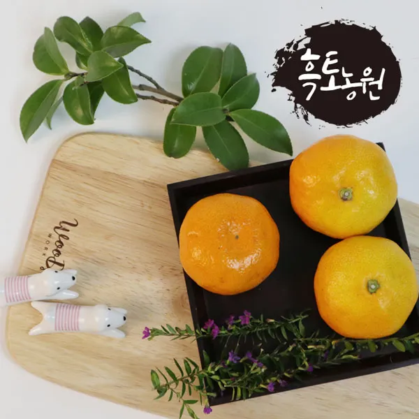 흑토농원 하우스 감귤 2kg 3kg 5kg 특로얄과