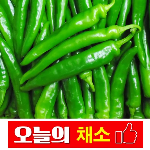 바른채소 풋고추 300g 신선함을 그대로 가락시장 가락몰 직배송 시스템, 1봉