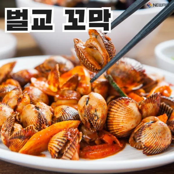 특 꼬막 참꼬막 새꼬막 피꼬막 벌교참꼬막 강릉꼬막비빔밥 만들기 피조개무침 꼬막제철 냉동꼬막 자숙꼬막 꼬막철, 특꼬막 1kg(70미내외)