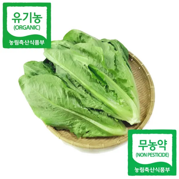 [산세로]친환경 포기로메인 1kg, 1개