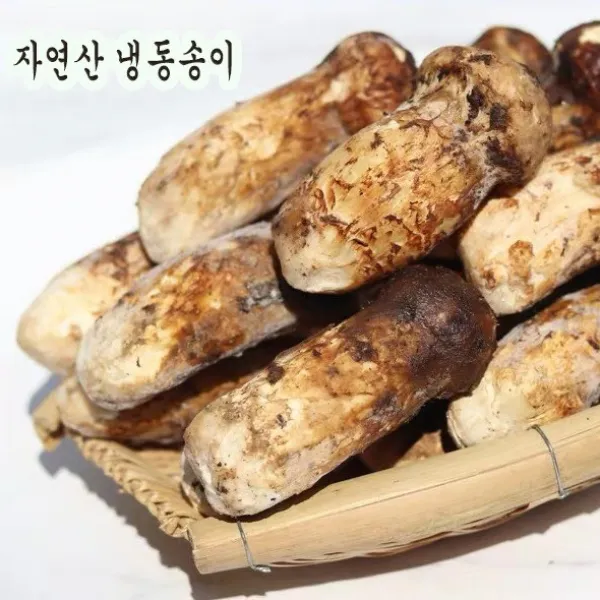 자연산송이버섯 냉동송이 백두산송이버섯 중국산 1kg, 500g, 가정용/파손품