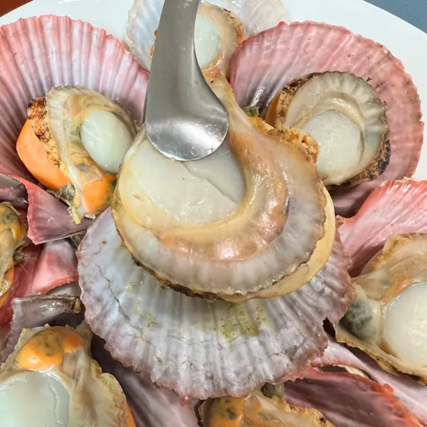 산지직송 제철 통영 비단 홍가리비 1KG 단풍가리비, (특품) 비단가리비1kg