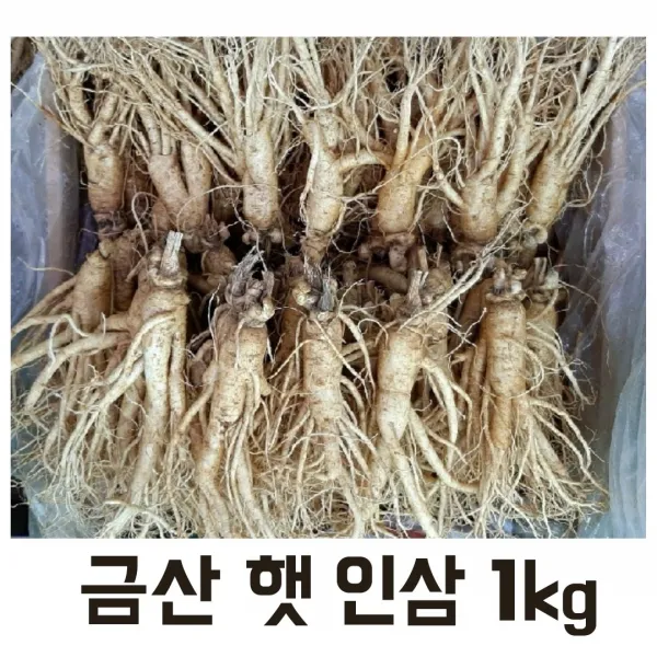 실속형 5년근 가정용인삼 1kg (16-20뿌리) 무료세척 무료배송