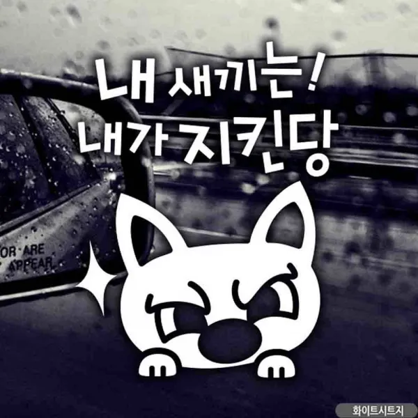 ¶⊙핫딜_A+ 아기 내새끼는 뭉크 주문제작 차량용스티커 JJDECO (♩vC!A) 화이트 국문, ♬본 상품 선택하기_Welcome™