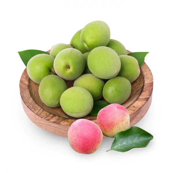 초록 빛 해남매실 10kg 중 22mm이상 