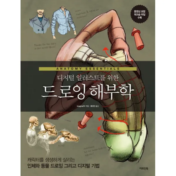 디지털 일러스트를 위한 드로잉 해부학:캐릭터를 생생하게 살리는 인체와 동물 드로잉 그리고 디지털 기법, 아트인북
