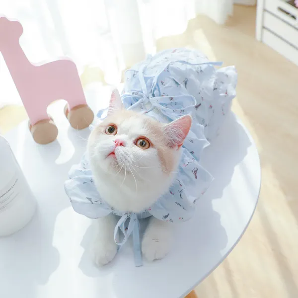 강아지옷 고양이 옷 여름시즌 얇은타입 젖먹이고양이 귀여운 셀럽 파란고양이 애완동물 패브릭인형 어린 고양이리틀 고양이용 봄여름 치마 C05 가슴둘레 45 50cm 추천 11 15근 