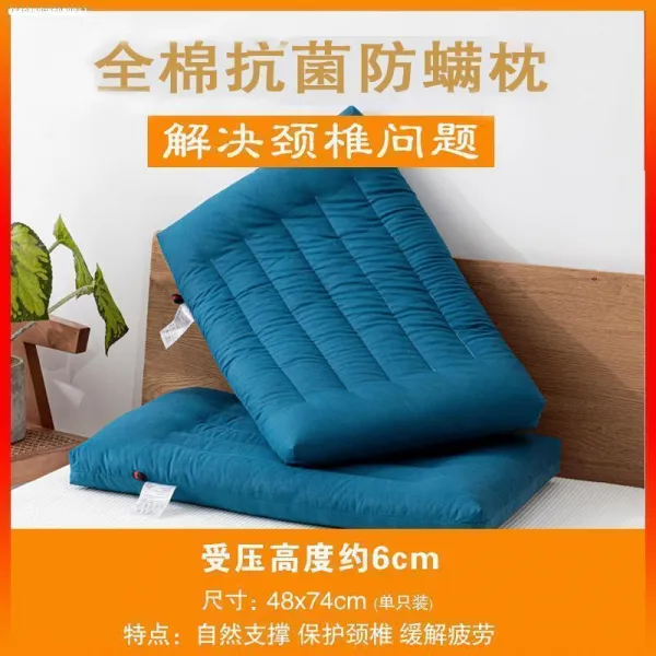 마사지베개 쿠션 경추보호 여름 더블 수면보조 순면 낮은베개심 호텔 가정용 5성급 슈퍼소프트 한쌍세트 T20 성인용 : 48x74cm 블루색 단품 압력 후