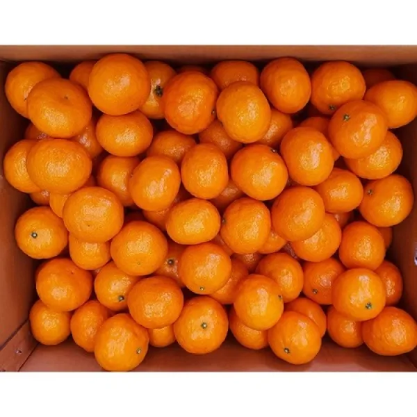 [멸치쇼핑]카라향 감귤2kg 풍부한과즙 제주도밀감, 상세페이지 참조