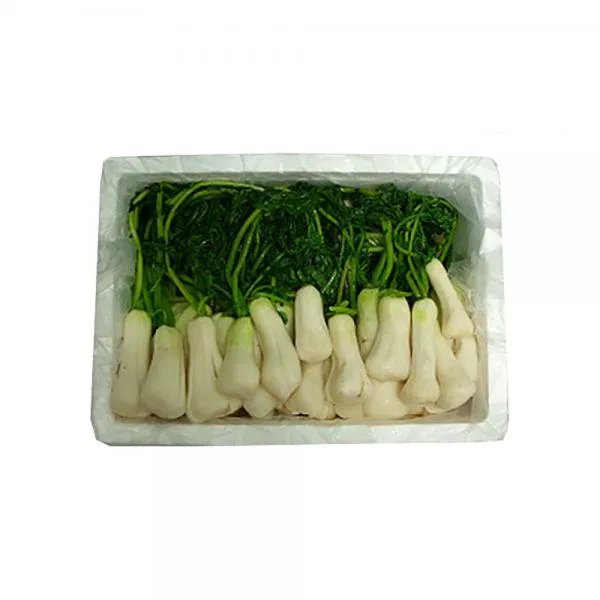 행운가족농원 (전남오픈마켓행운가족)남도청정 절임알타리 5kg, 배송메모에 날짜를 적어주세요