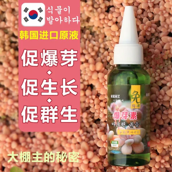 넥서스닷컴 화분 다육 식물 폭발아포아소세포분열소 촉진함 폭발함 곁눈 철화 폭분 조절 성장, 폭아소 50ml