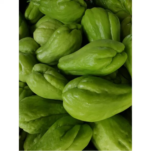 차요태 1kg/su su/아시아 농장 송소희, 1kg