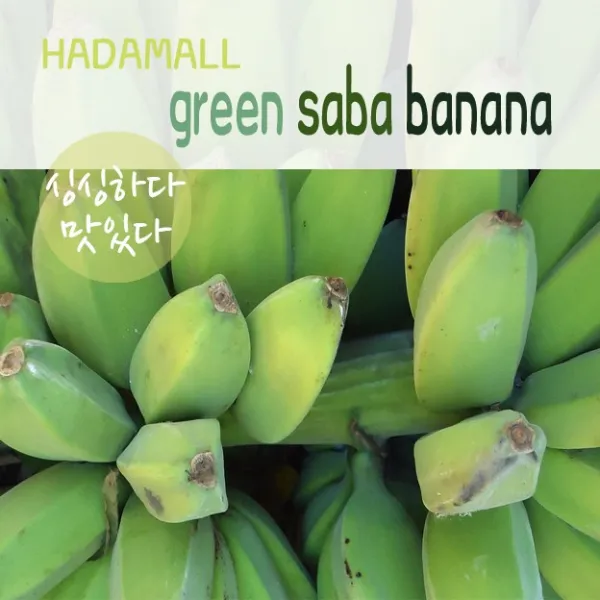 필리핀 사바 바나나 1box 1.5kg