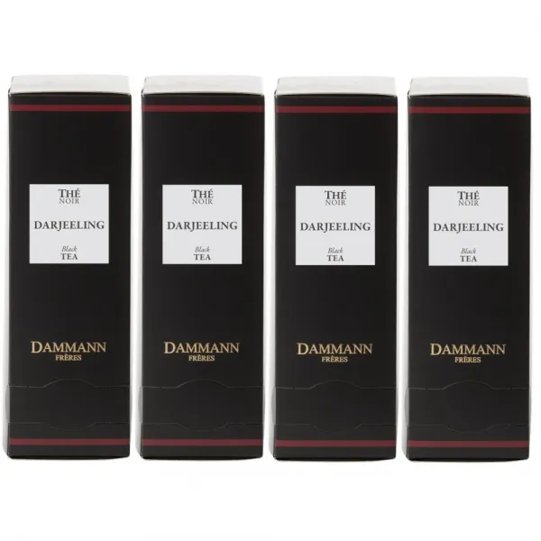 Dammann Darjeeling 다만프레르 다즐링 홍차 개별포장 24티백 4팩 (총 96크리스탈티백)