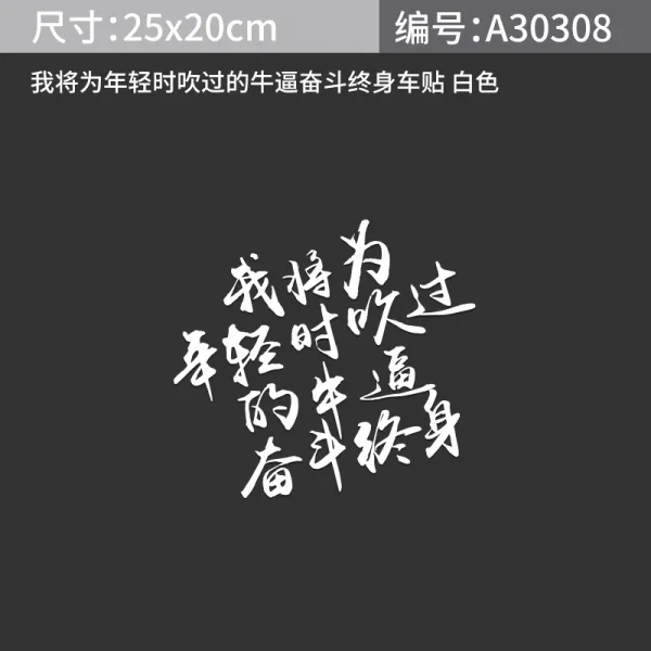 챈# 어떻게 했다 근심을 풀면 폭력에 불과하다 부유함 시트지 개성 독창적 차량용스티커 리플렉터 자동차흠집 헤바람막이 분투함 평생 25cm 화이트