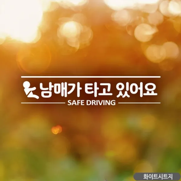 az신상9gfwa SAFEDRIVING 타고있어요 자동차스티커-화이트 남매가 꾐곶 익스테리어용품 자동차용품 39p4D_6627 중고재생부품