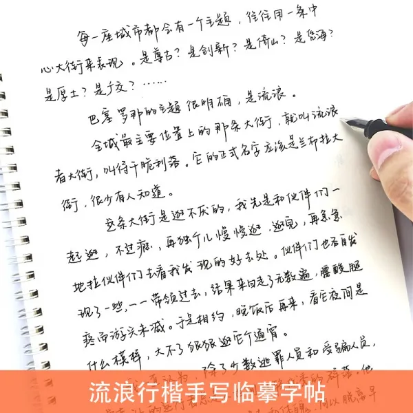 초보자 행려 입문 수필체 임모 연자첩 고교 대학생 행서 속성 연자, 보로 본의체증정 220심22100장페