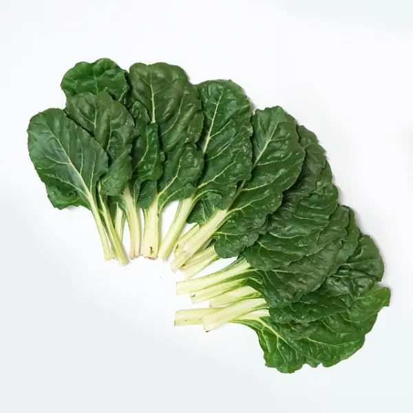 채소파는 가게 근대-300g 500g 1kg, 1팩, 300g