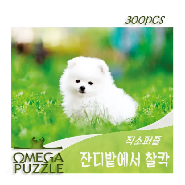[오메가퍼즐] 300pcs 직소퍼즐 잔디밭에서 찰칵 339, 단일상품