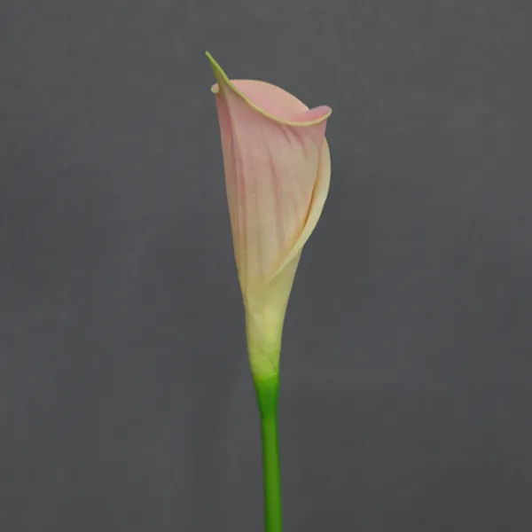 WO 모조꽃 마제련 인조 웨딩 식탁 거실 착지 고퀄 그립감 블랙 폰자리, 핑크 PU 마제련 （1즈 값 ）