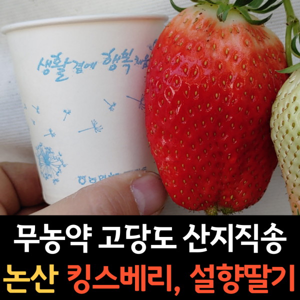 무농약 프리미엄 생딸기 논산 산지직송 로얄 킹스베리 대왕딸기 설향딸기 특대 왕딸기 선물세트 특 왕특 대왕 고당도 국산 딸기 1kg 당일배송, 2-1. 킹스베리 왕특 (개당 40g 이상) 1팩