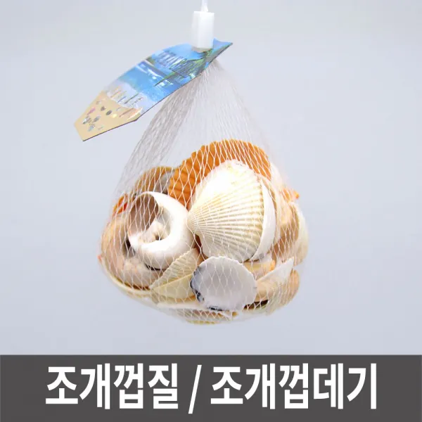 [쇼핑은 스마트팝]조개껍질 조개껍데기 만들기조개 조개껍질모음>>ShoppingWell@smartpop!*!