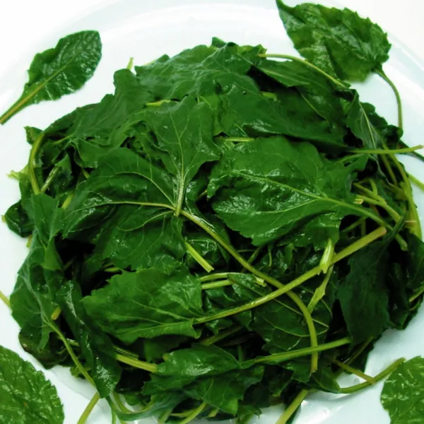 국산 데친나물 취나물 250g 생데친 단품