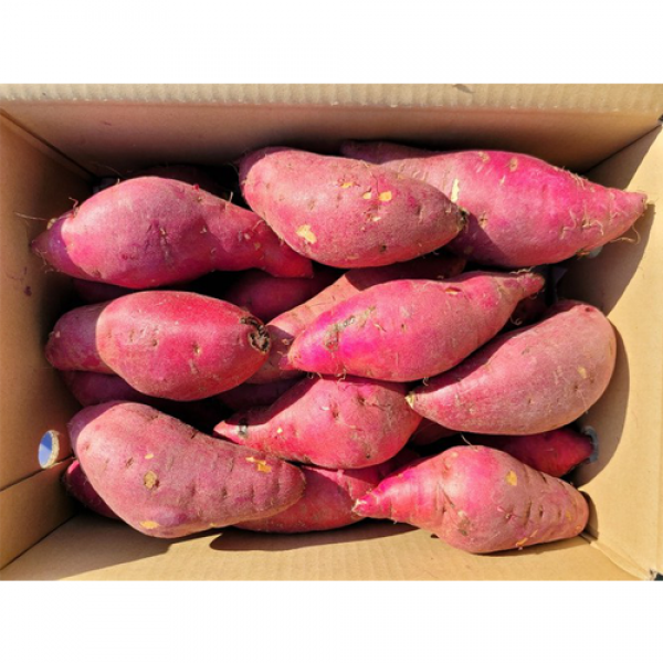 푸드팜 2020년 꿀고구마 3kg 5kg 10kg 한입 중 상 특 5kg 상 