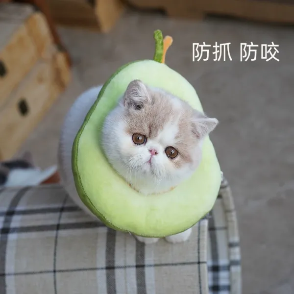 고양이 치욕 튜브 엘리자 화이트 권고양이 소프트 천목걸이 목토시 방지 핥다 불임 뒤용품 큐트 넥 워머 아보카도 목걸이 L적합 713근