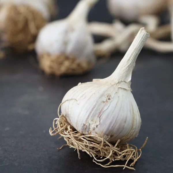 의성마늘 토종 육쪽마늘 통마늘 소 1개 500g