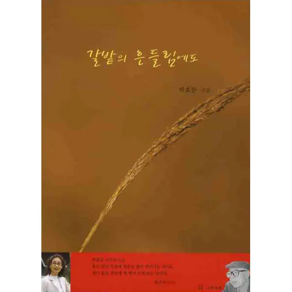 갈밭의 흔들림에도, 그림과책