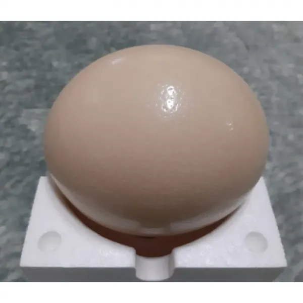 한길타조농장 건강 타조알 (소, 중, 대), 1개, 소(-)1.0~1.2kg미만