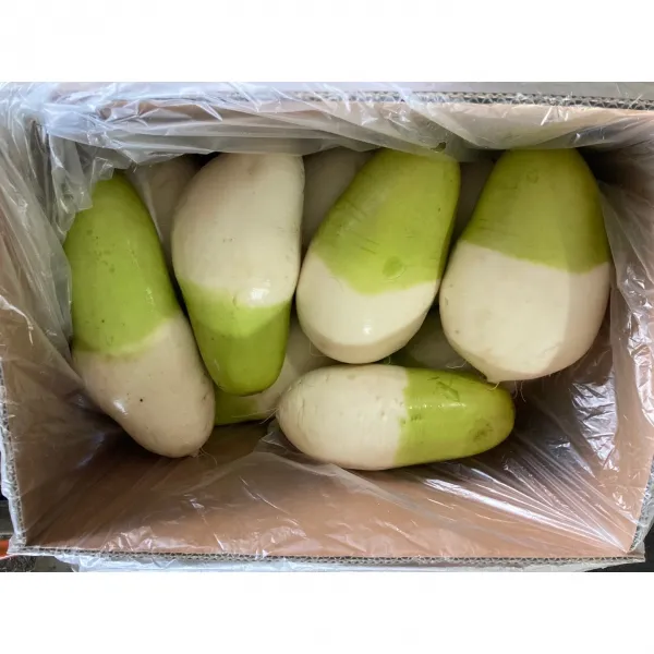 제주 월동 세척무, 10KG
