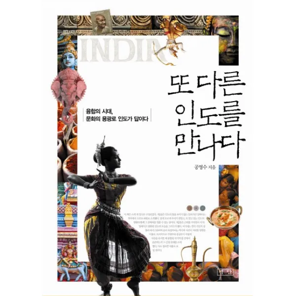 또 다른 인도를 만나다:융합의 시대 문화의 용광로 인도가 답하다, 평단