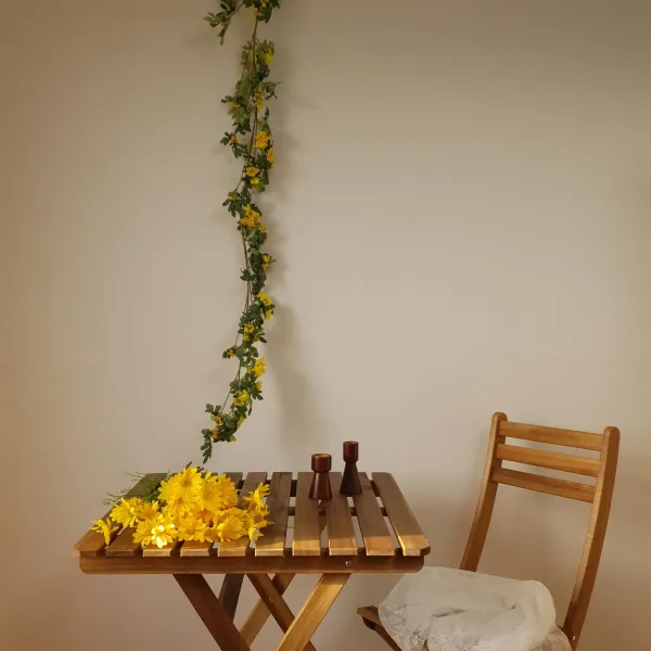 데이지꽃 넝쿨식물 행잉플랜트 빨강 데이지 덩쿨나무