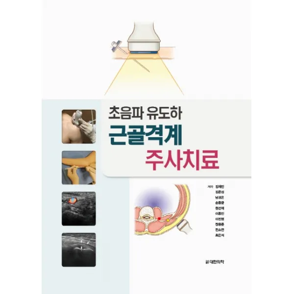 초음파 유도하 근골격계 주사치료, 대한의학