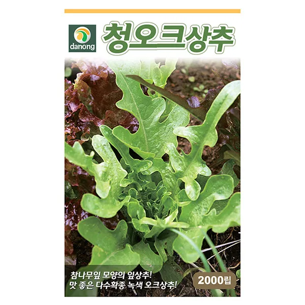혼합 상추 씨앗 6g - 적치마 청치마 적축면 흑치마 담배상추 상추씨앗 상추씨 쌈채소 야채씨앗 채소씨앗 채소재배 종묘 종자 베란다 텃밭, 21_다농_청오크 상추(2000립)