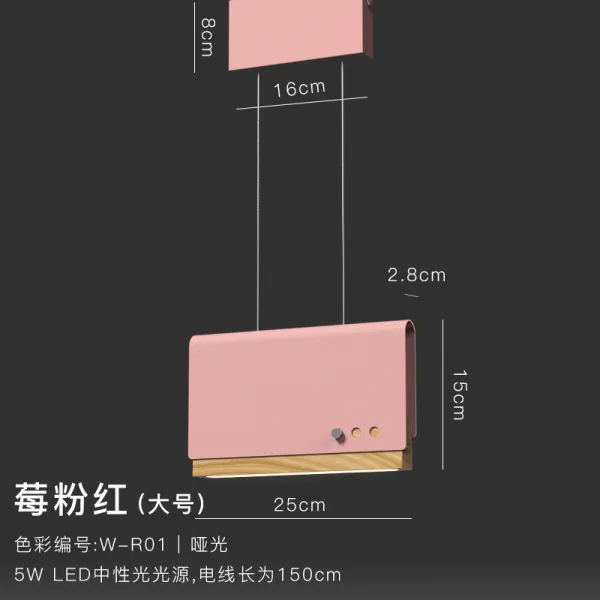 디자이너 의 노르딕 식탁 미니멀 합시다 복장가게 커피숍 LED 공허 샹들리에, 베리 분홍 （큰사이즈 라지 ）