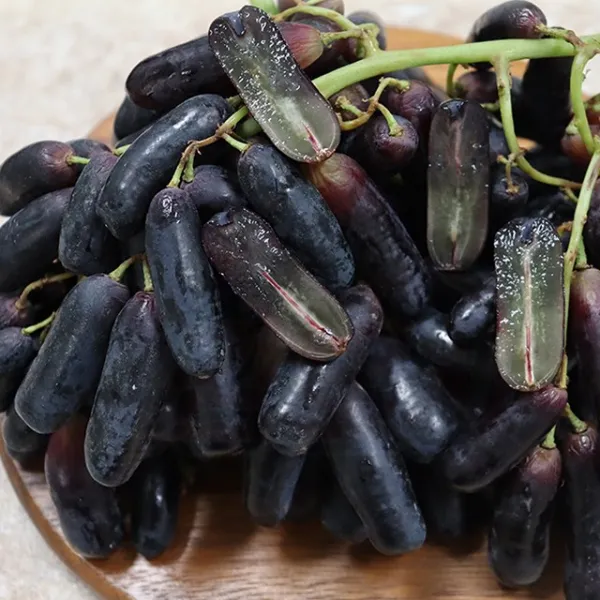 블랙사파이어 씨없는 포도 2kg, 단일상품