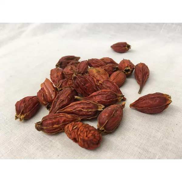 [미국직구]Trustworthy Herbs 가드니아 치자 jasminoidesEllis 과일 샨 뜻 보라색 산 ?子, 선택, 상세설명참조