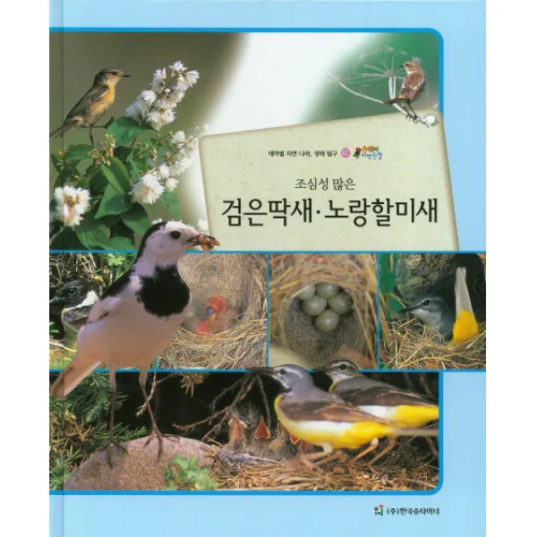 조심성 많은 검은딱새 노랑할미새:테마별 자연 나라 생태 탐구, 한국슈타이너