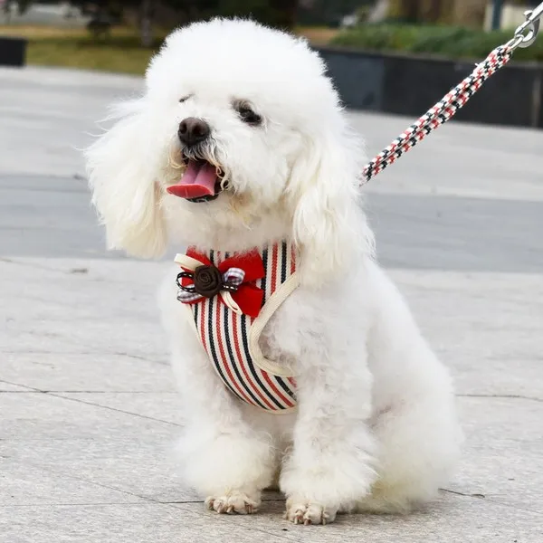 강아지용품 강아지 애견목줄 조끼스타일 소형견 포메라니안 리드줄 푸들 애완동물 개줄 여름 용품 T07 공형 레드색 스트라이프 1.2베이지 편승 C01 Xs3키로이내