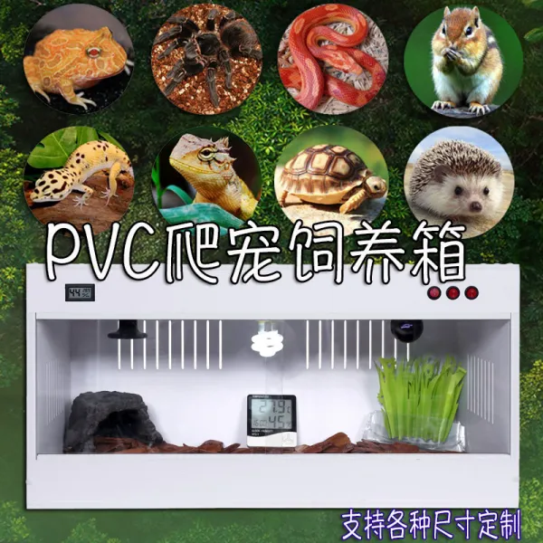 수조 PVC 파충상 땅거북 도마뱀 사육한다 보온 스마트 기다 앵무새 어린새 온도를높이다 대형 맟춤제작 2820599065