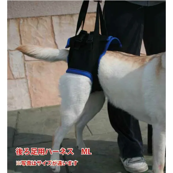 보행 보조 선 빔 (뒷발 용) ml (몸통 주위 59 - 68cm) 간병인 용 애 완 견 케 어 늙 은 개 강아지 강아지 강아지 강아지 강아지 강아지 강아지 케 어 애완동물 상품 후 지 내일 쉬 워 요, 상세설명참조 상품 문의는 상품 문의란에 적어주세요