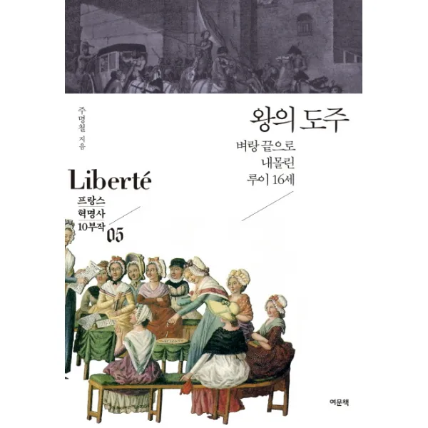 왕의 도주:벼랑 끝으로 내몰린 루이 16세 여문책