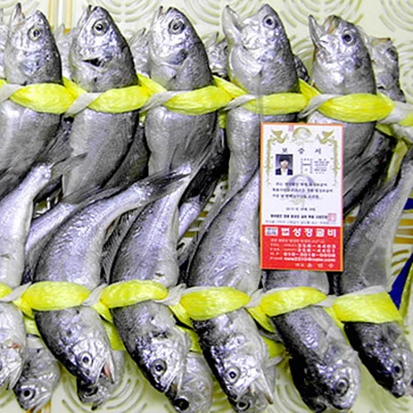 법성정굴비 선물용1호(20미)19.5cm내외(1.65kg내외), 단품