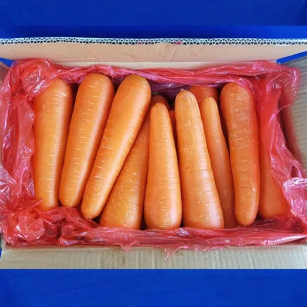 도매빅뱅 70310/ 세척당근(10kg/중국) 양파/오이/양배추/애호박/대파/사과/감자/케일/마늘/두부, 단일 수량