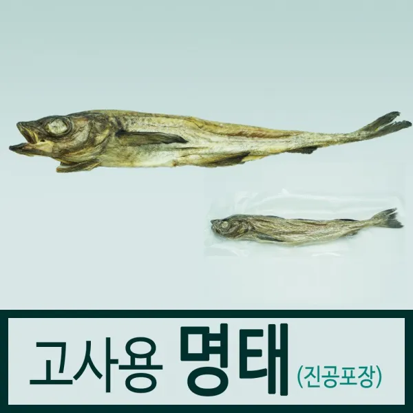 고사용 명태 자동차 고사 북어 명주실 2종 세트 간편고사 고사용품